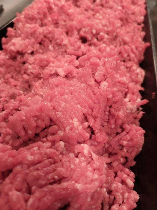 Raw Beef Dog Food (25)